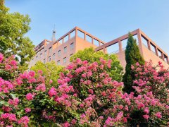 郑万全（15）：以吉尼斯之名展乡村医疗力量