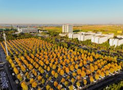 刘庄矿业：用绿色笔触改写发展答卷