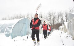 清除大棚积雪，合肥市庐阳区大杨镇助力菜农增收