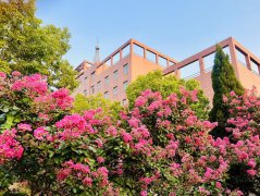 郑万全（115）：天下三花诠释人生