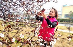 淮北矿业集团朱仙庄矿矿山花开引“拍客”